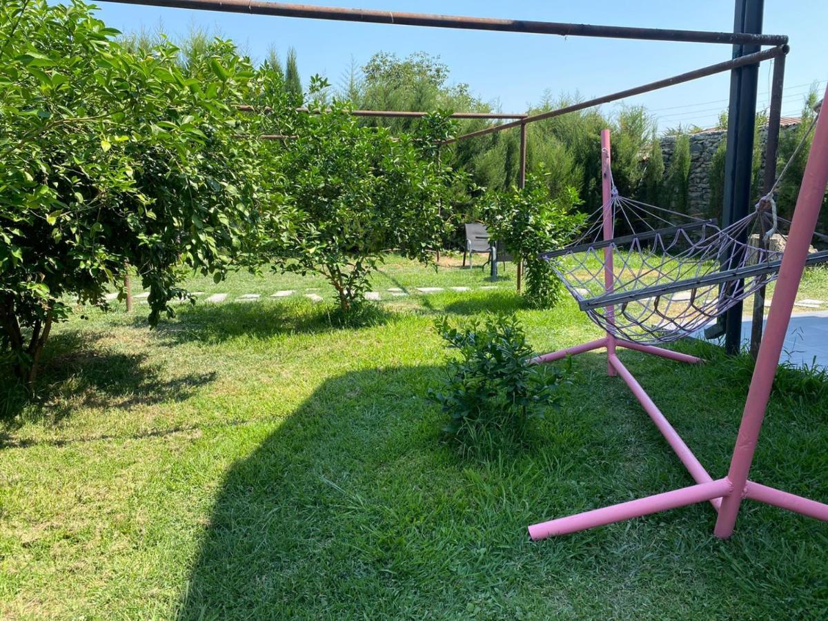Isev Qvareli Exteriör bild